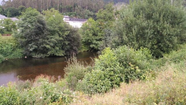 Los ríos asturianos presentan «condiciones óptimas» en la víspera de la apertura de la temporada de pesca del salmón