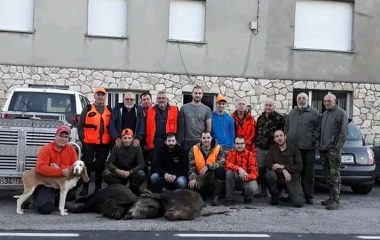 42 Jabalíes cobrados en los Cotos de la Comarca en las últimas Batidas