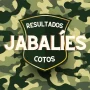 81 Jabalíes cobrados en los Cotos de la Comarca en las Últimas Batidas
