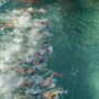 150 Nadadores disputaron el Ascenso a Nado al Río Negro de Luarca.
